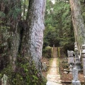 実際訪問したユーザーが直接撮影して投稿した高野山寺高野山の写真