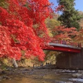 実際訪問したユーザーが直接撮影して投稿した南中野山 / 峠中野もみじ山の写真