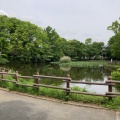 実際訪問したユーザーが直接撮影して投稿した菊名公園菊名池公園の写真