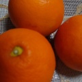 ブラッドオレンジ 生キズ有り ブラッドオレンジ - 実際訪問したユーザーが直接撮影して投稿した宮口スイーツスズキ果物農園の写真のメニュー情報