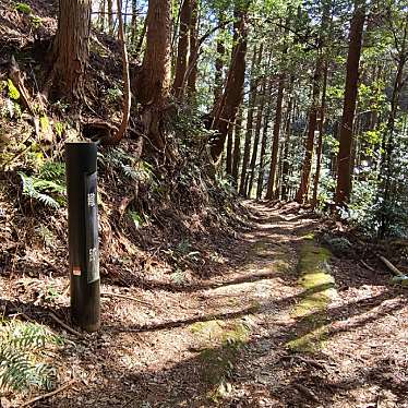 実際訪問したユーザーが直接撮影して投稿した山 / 峠女鬼峠の写真