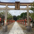 実際訪問したユーザーが直接撮影して投稿した天神町神社朝日森天満宮の写真