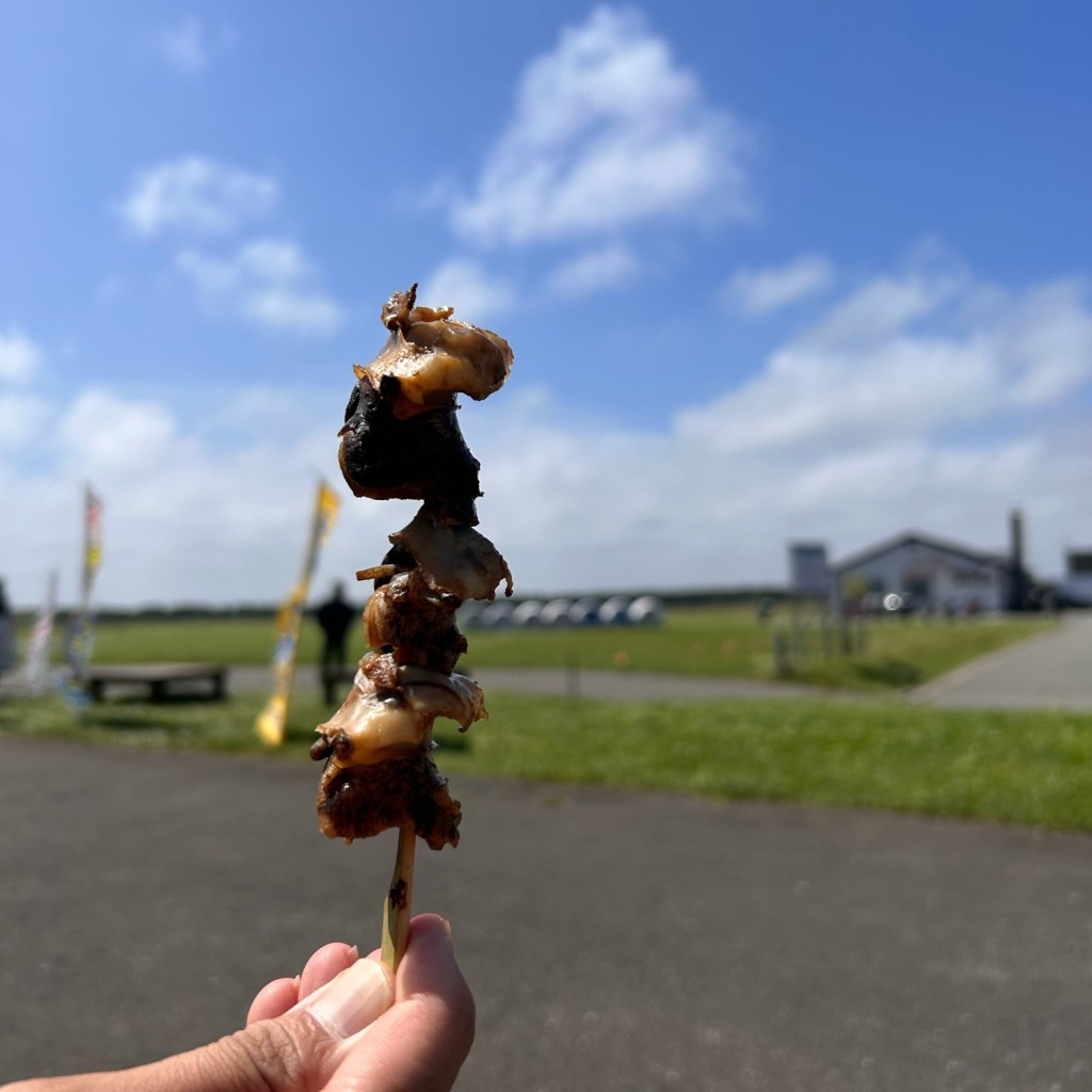 実際訪問したユーザーが直接撮影して投稿した浜鬼志別道の駅道の駅さるふつ公園の写真