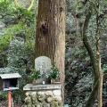 実際訪問したユーザーが直接撮影して投稿した南禅寺福地町寺南禅寺の写真