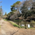 実際訪問したユーザーが直接撮影して投稿した田園調布公園宝来公園の写真