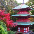 実際訪問したユーザーが直接撮影して投稿した村松寺油山寺の写真