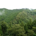 実際訪問したユーザーが直接撮影して投稿した吉野山神社吉水神社の写真