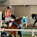 実際訪問したユーザーが直接撮影して投稿した駒の町競馬場阪神競馬場の写真