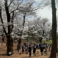 実際訪問したユーザーが直接撮影して投稿した代田公園羽根木公園の写真