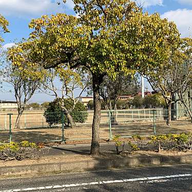 実際訪問したユーザーが直接撮影して投稿した九番町公園笠岡運動公園の写真