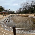 実際訪問したユーザーが直接撮影して投稿した三好町湖沼 / 池そらまめ池の写真