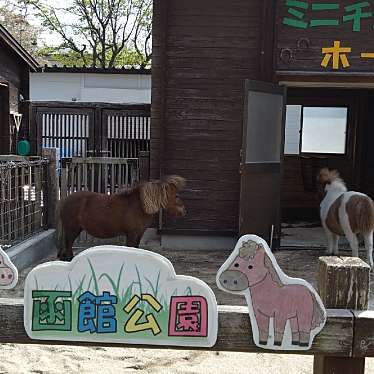 ピノっちさんが投稿した青柳町動物園のお店函館公園動物施設/ハコダテコウエンドウブツシセツの写真