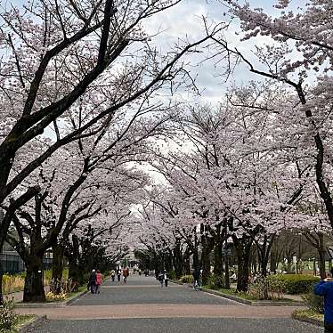 実際訪問したユーザーが直接撮影して投稿した浅間町公園府中の森公園の写真