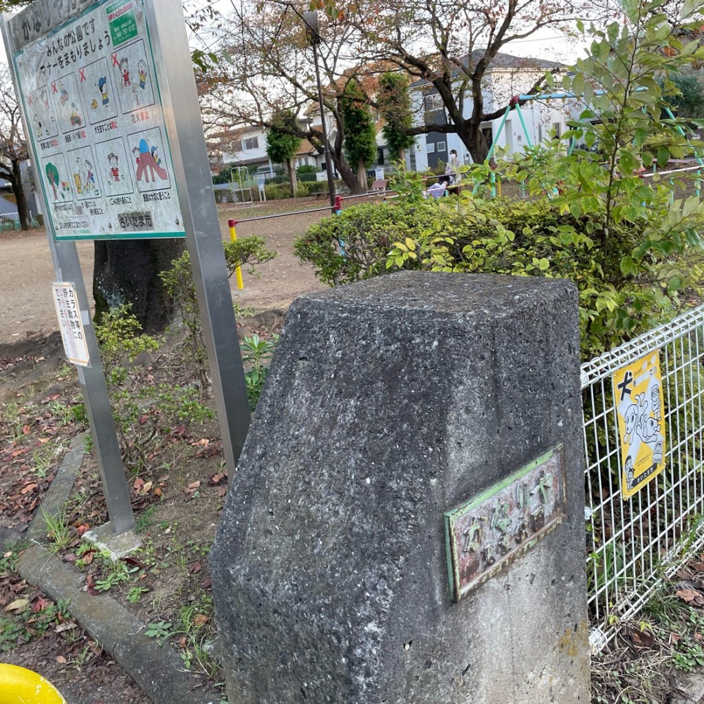 実際訪問したユーザーが直接撮影して投稿した東岩槻公園かなりや児童公園の写真