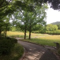 実際訪問したユーザーが直接撮影して投稿した御陵大枝山町4丁目公園桂坂公園の写真