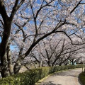 実際訪問したユーザーが直接撮影して投稿した山田町公園加賀市中央公園の写真