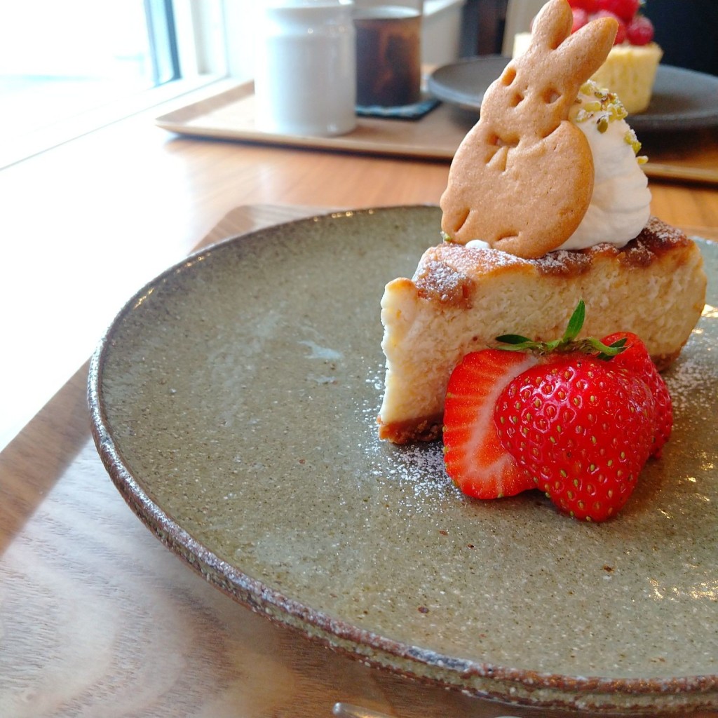 ユーザーが投稿したベイクドチーズケーキの写真 - 実際訪問したユーザーが直接撮影して投稿した下三橋町カフェカフェ プランタンの写真