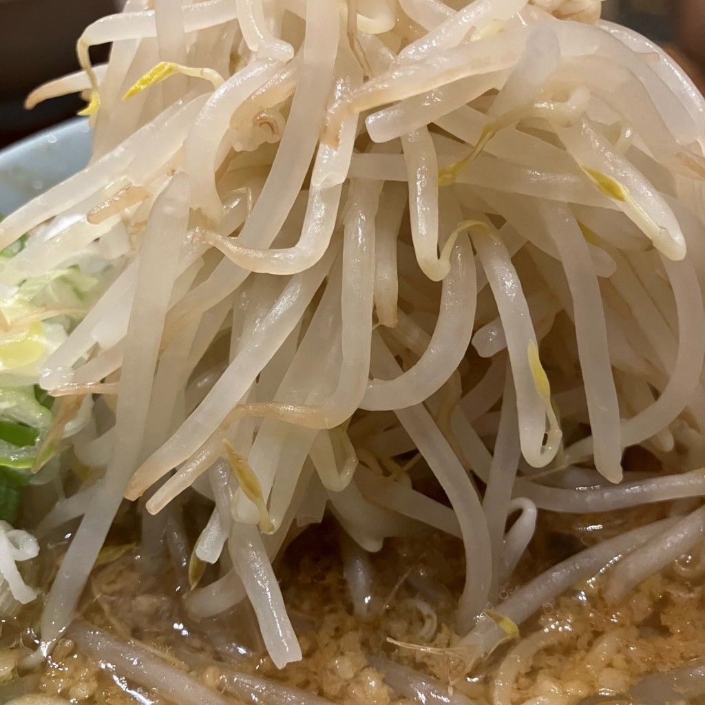 実際訪問したユーザーが直接撮影して投稿した三宅ラーメン / つけ麺らーめん めんりゅう 三宅店の写真