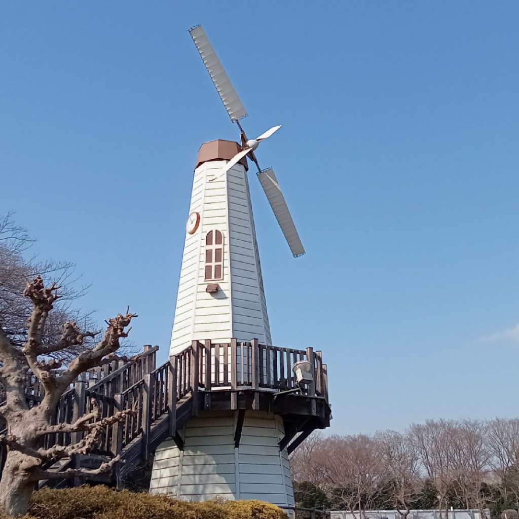 実際訪問したユーザーが直接撮影して投稿した土呂町公園見晴公園の写真