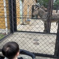実際訪問したユーザーが直接撮影して投稿した芦田町大字福田動物園福山市立動物園の写真