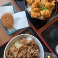 実際訪問したユーザーが直接撮影して投稿した北島牛丼焼肉丼・旨辛うどん すみのえ食堂の写真