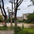 実際訪問したユーザーが直接撮影して投稿した元町公園元町中公園の写真