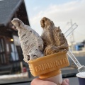 実際訪問したユーザーが直接撮影して投稿した三田町アイスクリームコハジェラ 岸和田市三田店の写真