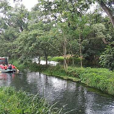 実際訪問したユーザーが直接撮影して投稿した豊科南穂高公園安曇野わさび田湧水群公園 (憩いの池)の写真