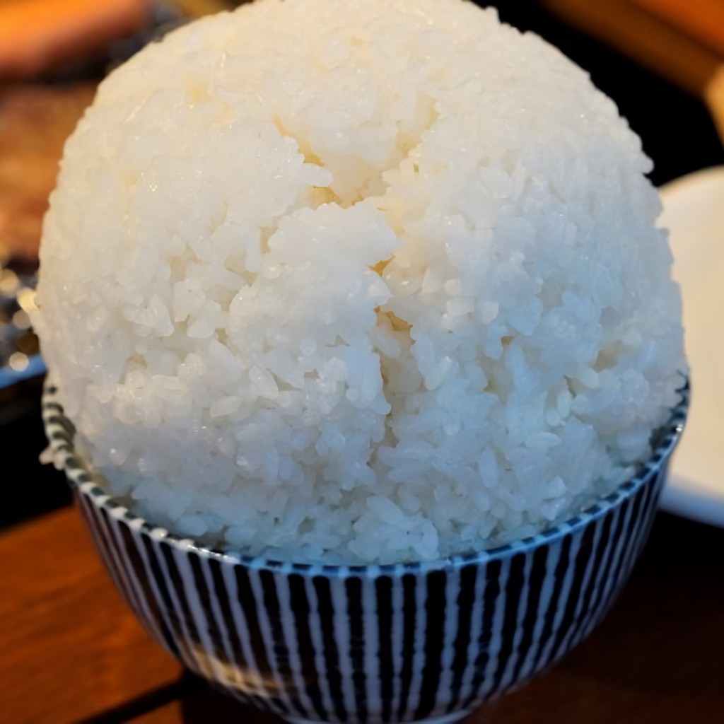 ユーザーが投稿したライス富士山の写真 - 実際訪問したユーザーが直接撮影して投稿した小杉町焼肉焼肉チョモランマの写真