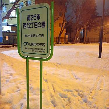 実際訪問したユーザーが直接撮影して投稿した南二十五条西公園南25条西12丁目公園の写真