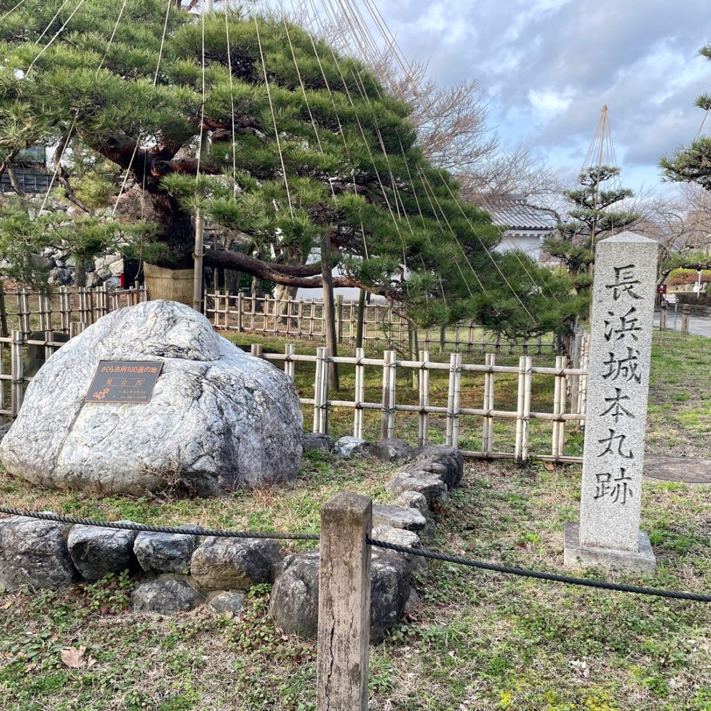 実際訪問したユーザーが直接撮影して投稿した公園町城 / 城跡長浜城の写真