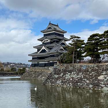 実際訪問したユーザーが直接撮影して投稿した丸の内公園松本城公園の写真