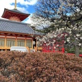 実際訪問したユーザーが直接撮影して投稿した中山寺寺中山寺の写真