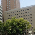 実際訪問したユーザーが直接撮影して投稿した中町神社白神社の写真