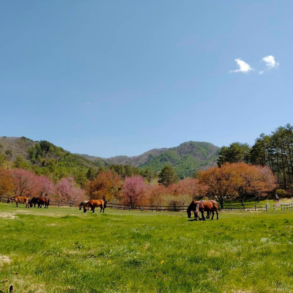 実際訪問したユーザーが直接撮影して投稿した開田高原末川レジャー施設木曽馬の里の写真
