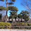 実際訪問したユーザーが直接撮影して投稿した多磨町公園武蔵野公園の写真