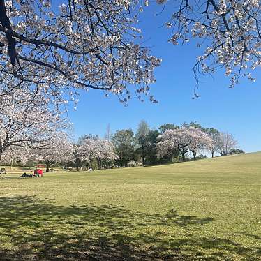 いせさき市民のもり公園のundefinedに実際訪問訪問したユーザーunknownさんが新しく投稿した新着口コミの写真