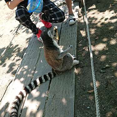 しろとり動物園のundefinedに実際訪問訪問したユーザーunknownさんが新しく投稿した新着口コミの写真