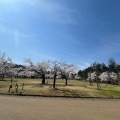 実際訪問したユーザーが直接撮影して投稿した御山町公園悠久山公園の写真