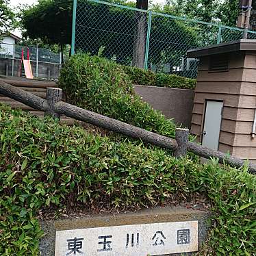 実際訪問したユーザーが直接撮影して投稿した東玉川公園東玉川公園の写真