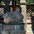 実際訪問したユーザーが直接撮影して投稿した湯島神社湯島天神の写真