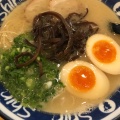 煮卵入りラーメン - 実際訪問したユーザーが直接撮影して投稿した天神ラーメン専門店博多らーめん ShinShin 天神本店の写真のメニュー情報