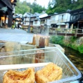 実際訪問したユーザーが直接撮影して投稿した銀山新畑その他飲食店野川とうふやの写真