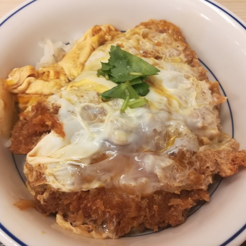 ユーザーが投稿したカツ丼(梅)の写真 - 実際訪問したユーザーが直接撮影して投稿した南八幡とんかつかつや 本八幡店の写真