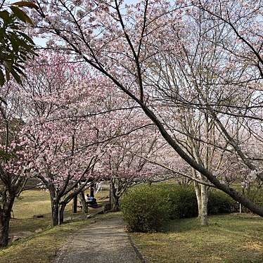 実際訪問したユーザーが直接撮影して投稿した押込町公園レイクパーク本庄の写真