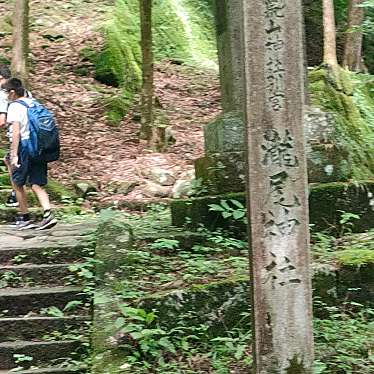 実際訪問したユーザーが直接撮影して投稿した山内神社滝尾神社の写真