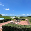 実際訪問したユーザーが直接撮影して投稿した三好町公園境川緑地の写真