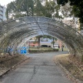 実際訪問したユーザーが直接撮影して投稿した反町公園反町公園の写真