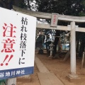 実際訪問したユーザーが直接撮影して投稿した中沢神社正八幡神社の写真