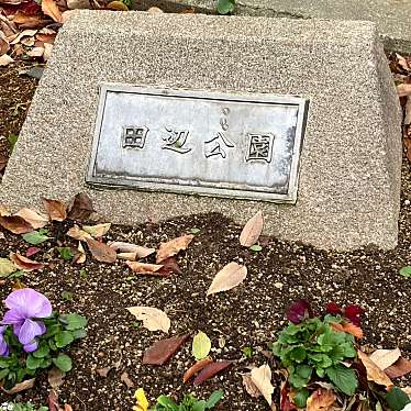 実際訪問したユーザーが直接撮影して投稿した駒川公園田辺公園の写真